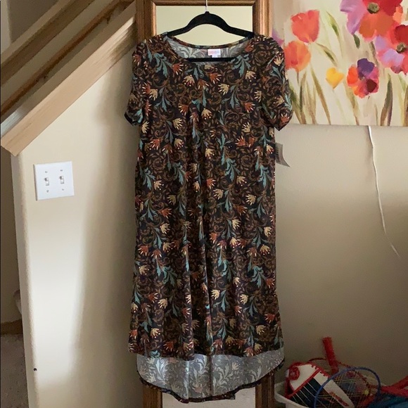 LulaRoe Carly - Picture 2 of 2